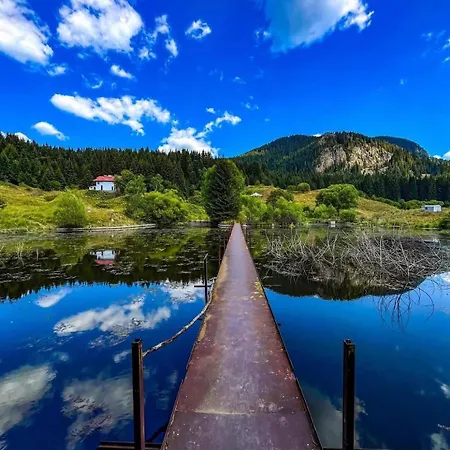 Apartment иглика *