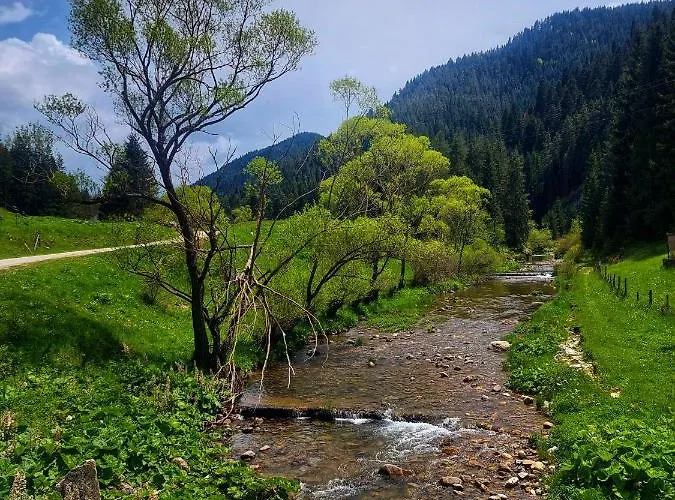 иглика Apartment Trigrad